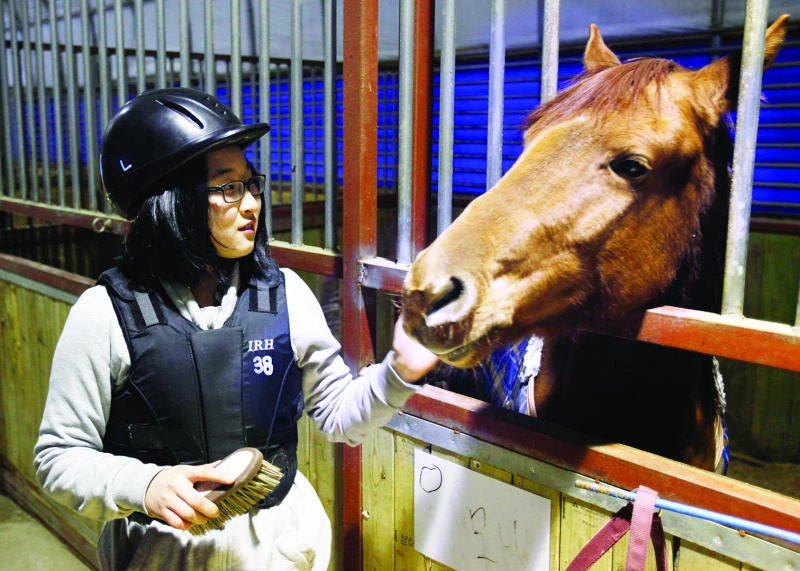 Horses to the rescue of Korea’s Internet-addicted teens
