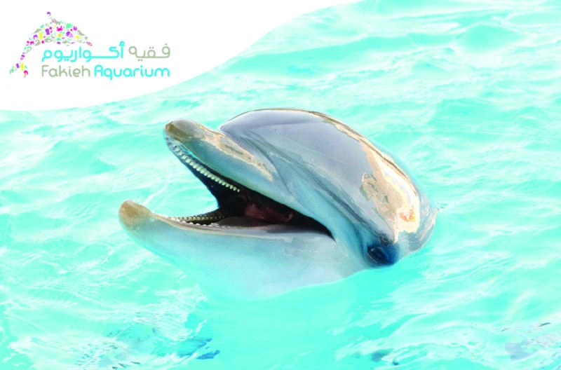 Fakieh Aquarium to open tomorrow