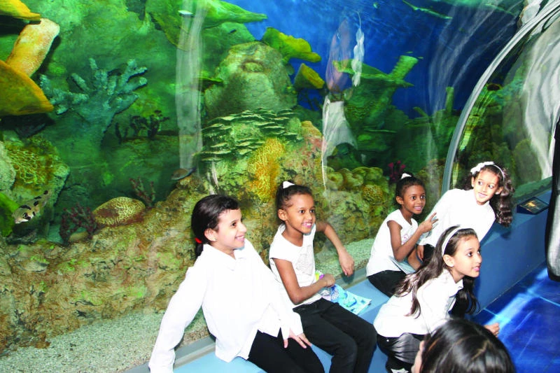 Jeddawis to get a glimpse of underwater life