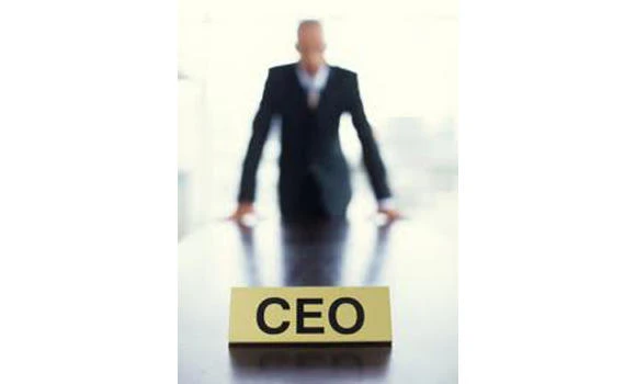 CEOs say global economy to remain stalled in 2013