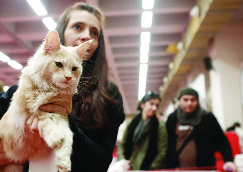 Study: Friendly felines are natural born killers
