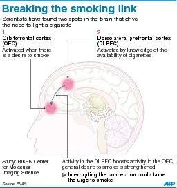 Researchers zoom in on brain’s addiction spots