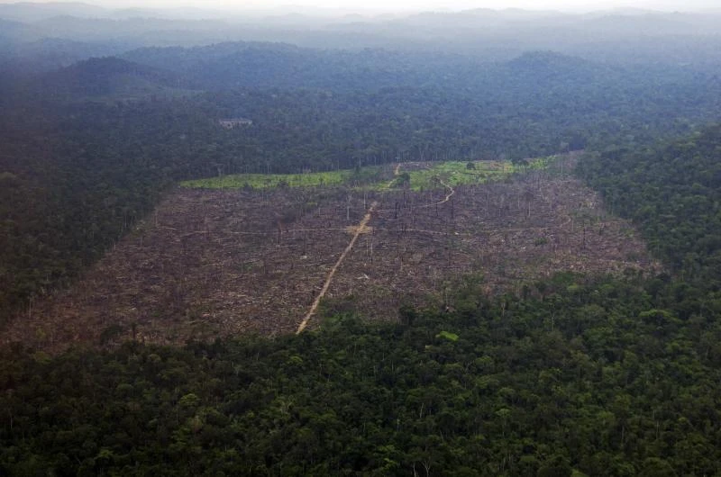 Brazil plans biodiversity study of Amazon
