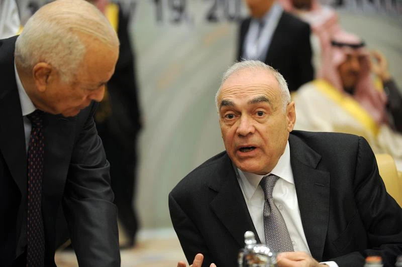 Moussa: Customs union must for Arab common market
