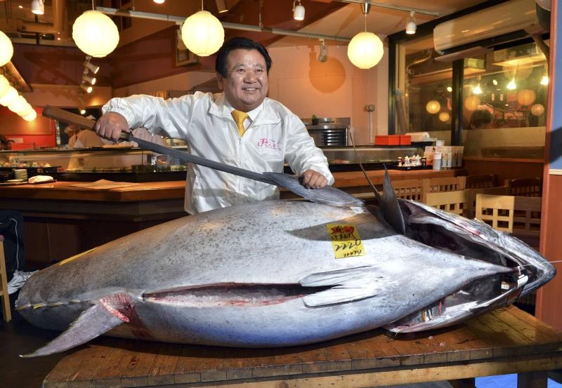 Giant tuna sells for record $1.8 million in Japan