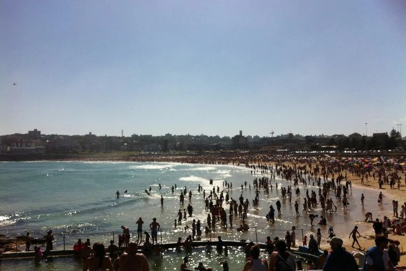 Shark scare closes Australia’s Bondi Beach