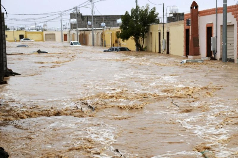 Rains damage 51 schools in Tabuk