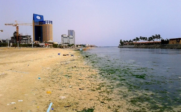 Disposal of wastewater harms sea environment