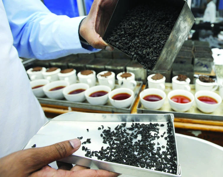 Focus on Sri Lanka: ‘Ceylon Tea’ enjoys major share in Saudi market