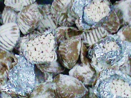 Tramadol in frozen ducks seized by Customs officials