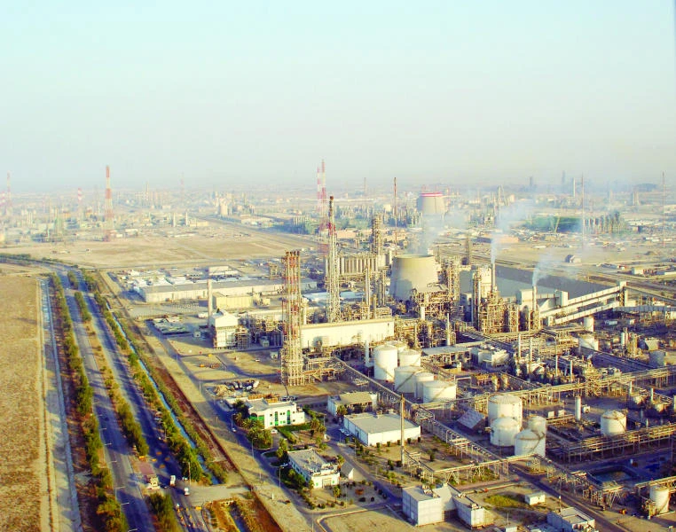 Petchem gained as gas prices fell in January