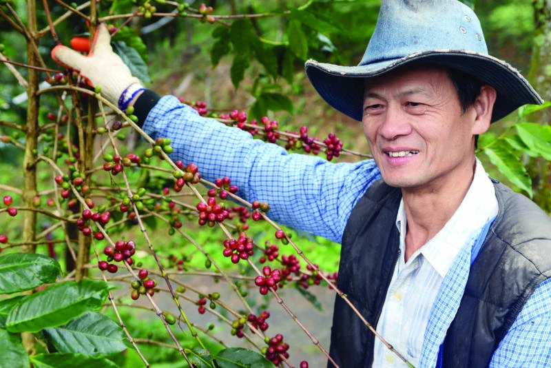 Taiwan’s ‘King of the Trees’ fights for forests