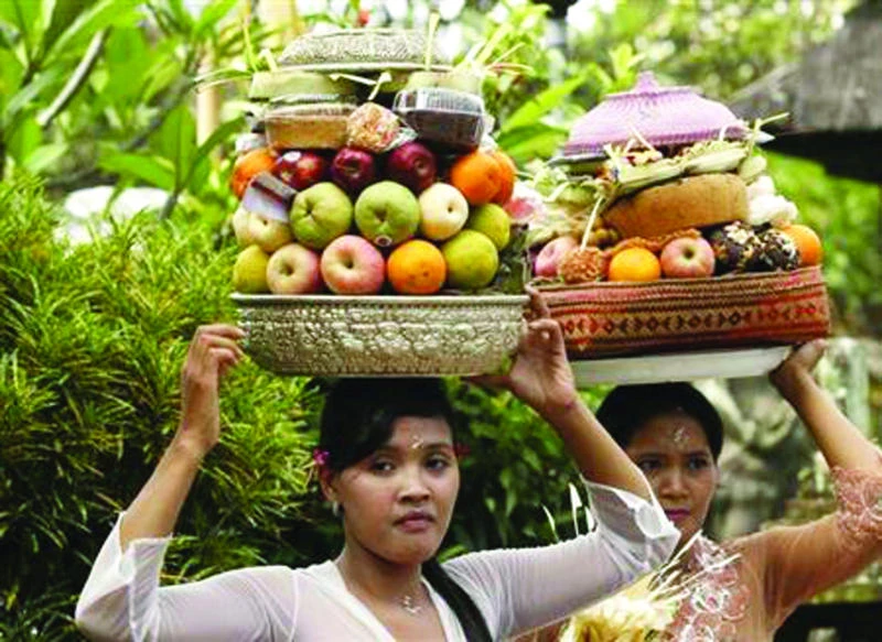 Are plant-based diets environmentally friendly?