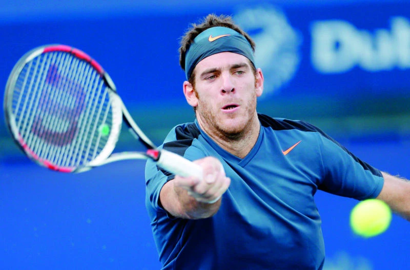 Del Potro downs Baghdatis in Dubai