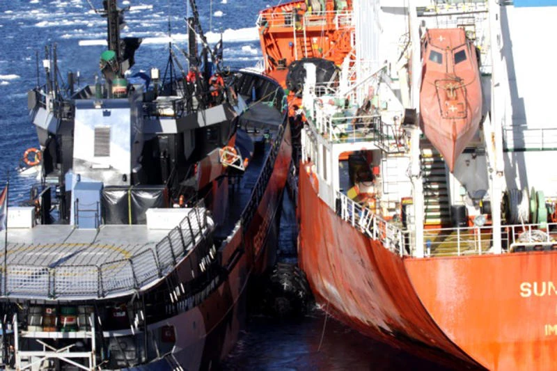 Activists say Japanese whalers 'rammed' their ships