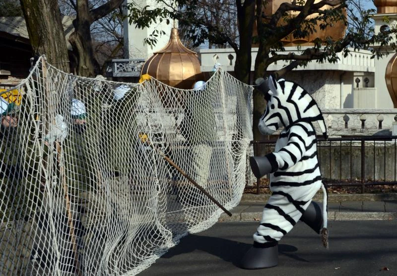 Tokyo zoo staff stage ‘zebra escape’ drill