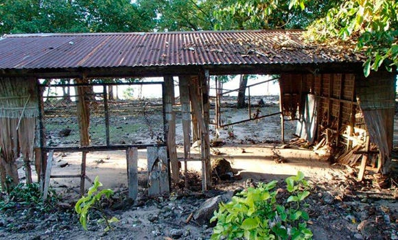 Magnitude 7.1 quake off Solomons