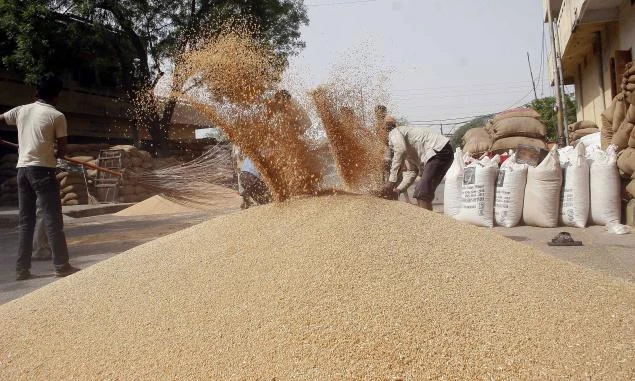 India may allow more wheat exports