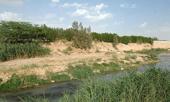 KSA to preserve wetlands