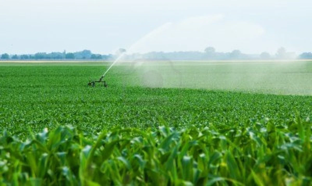 Riyadh workshop puts spotlight on judicious use of water
