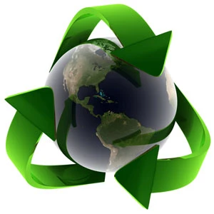 Courts dedicated to ecology issues recommended