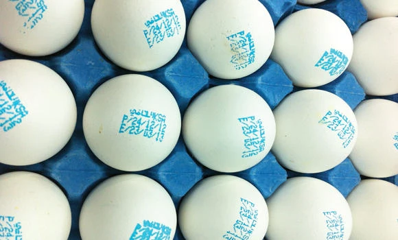 Egg prices go up 30 percent as cold weather spurs demand