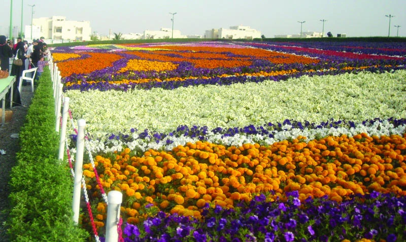 Eyeing 1 million visitors, Yanbu flower show boosts green drive