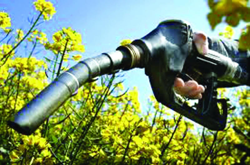 Are we near peak biofuels?