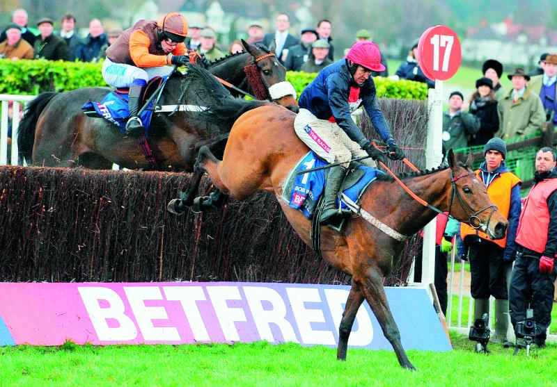 Bobs Worth lands Cheltenham Gold Cup