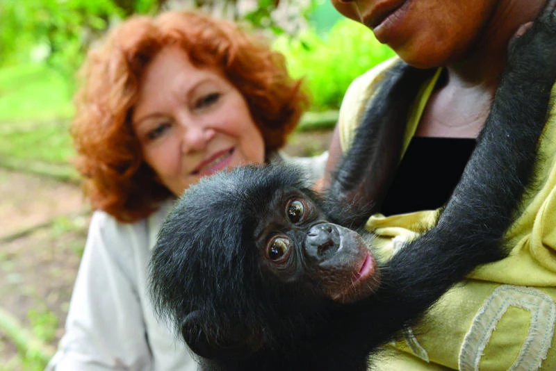 Life at a DR Congo ape sanctuary