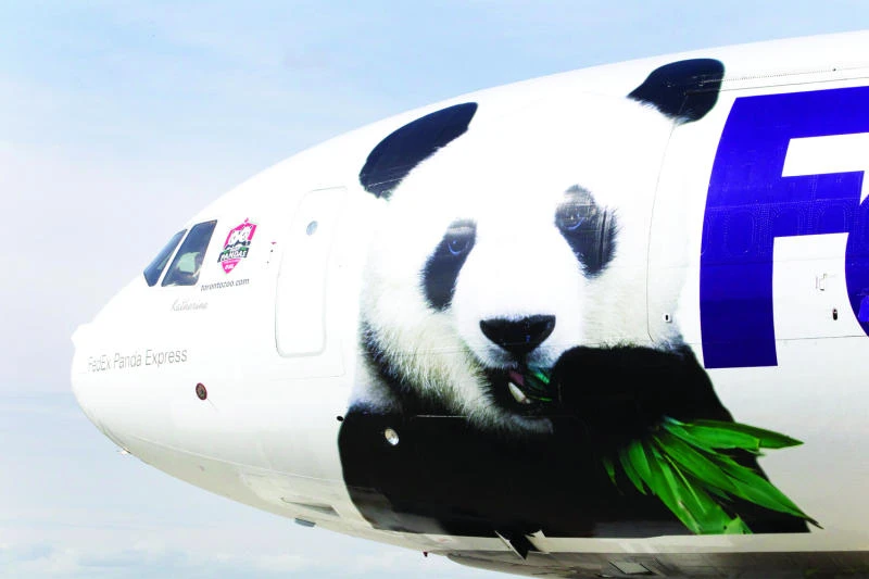 ‘Panda-monium’ as giant pandas arrive in China
