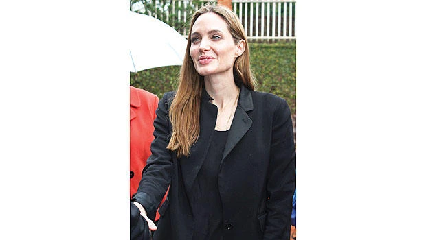 Jolie didn’t plagiarize ‘Blood and Honey’