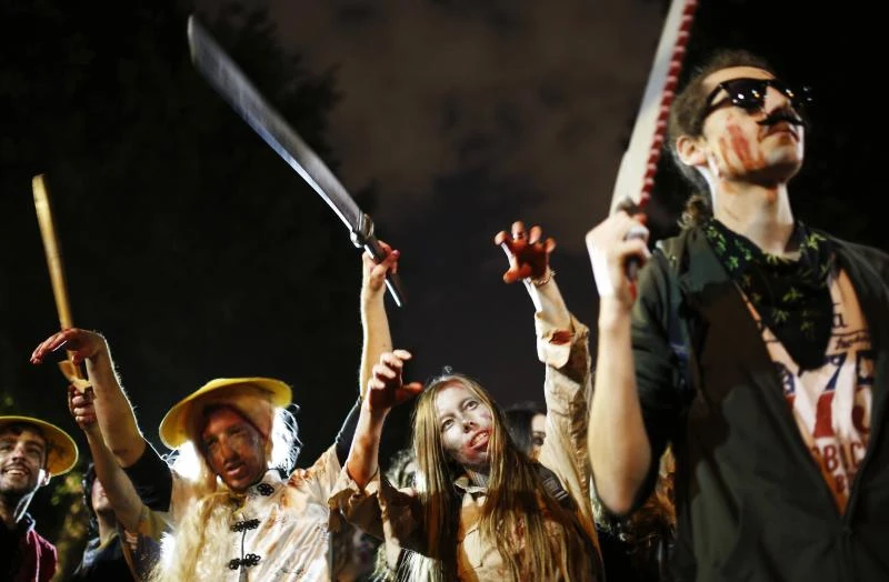 Israel on alert as locusts cross in from Egypt