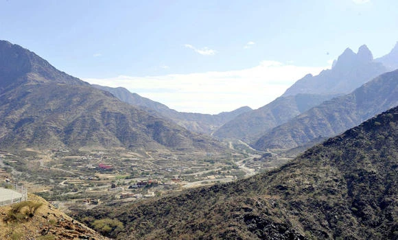 No armed foreigners in Baha region