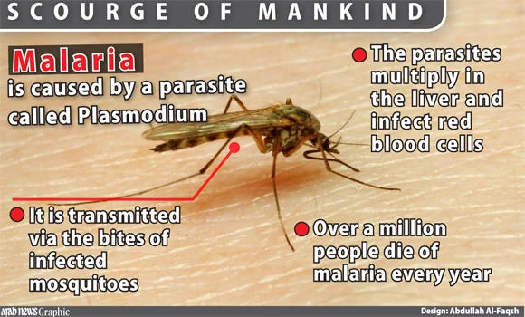 Anti-malaria training for 500 govt officials