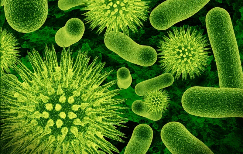 Deserving health care staff get contagious disease allowance
