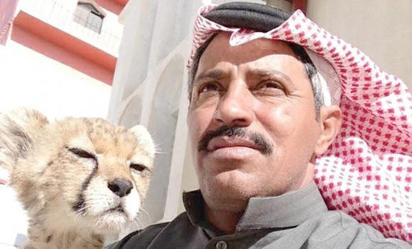 Rare leopard in care of SWC in Jazan