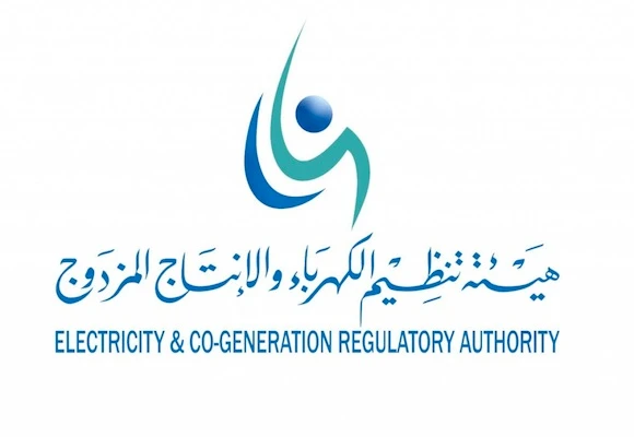 Govt agencies consume 13% of power output