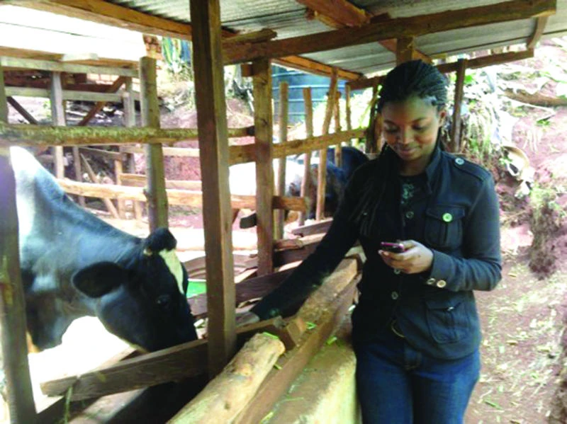 New apps transforming remote parts of Africa