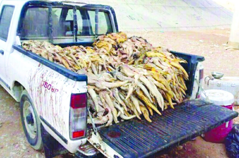‘Dhab massacre’ sparks outrage