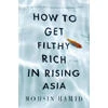 A novel look at emerging entrepreneurs