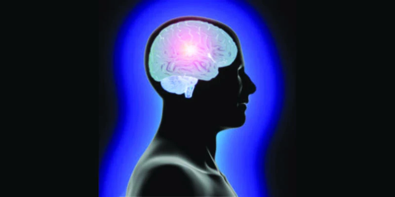 To crack human brain’s code, a search for visionaries