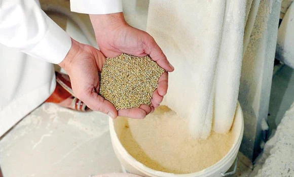 It’s Baha time for quality millet