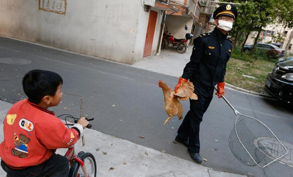 US experts say vaccine for bird flu is ‘months away’