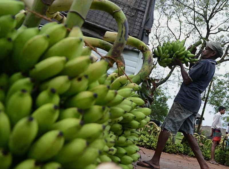 Sri Lanka rupee at one-year high; stocks at 7-week peak