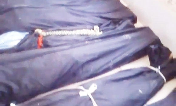 Assad forces execute 85
