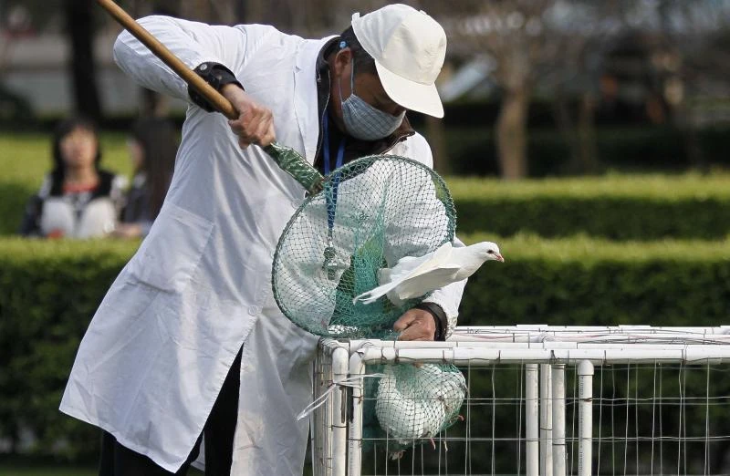 Chinese cities take up anti-bird flu steps