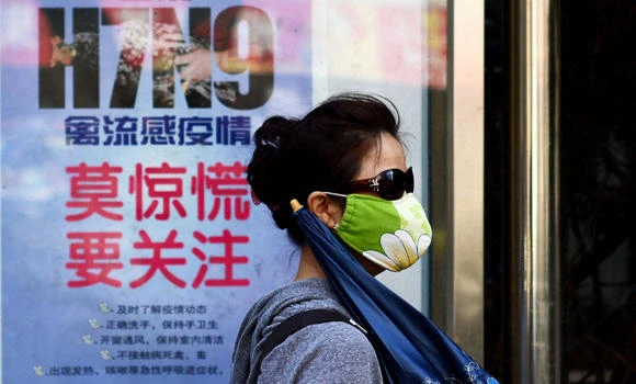 WHO: New flu passes more easily from bird to human