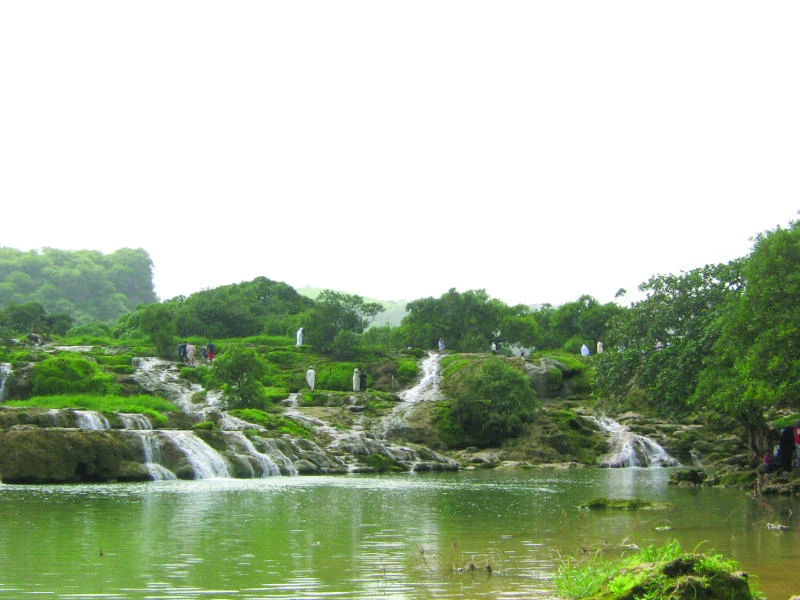 O man, this is paradise on earth! Lush, green, cool wadis calling