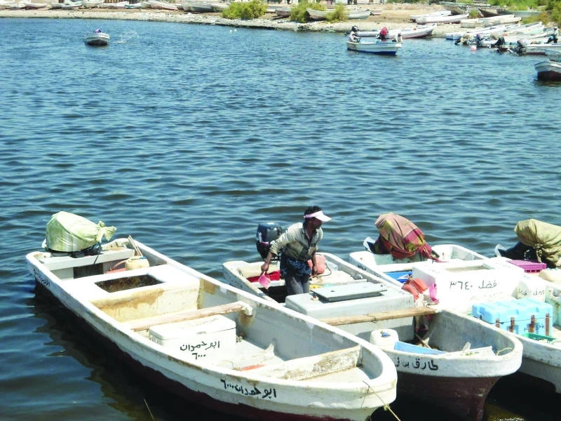 Choppy seas make fish pricy